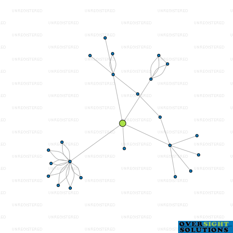 Network diagram for TURAPA LTD