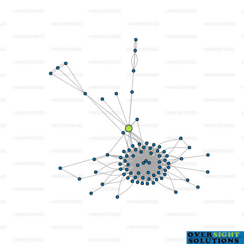 Network diagram for WITHERS TSANG  CO LTD