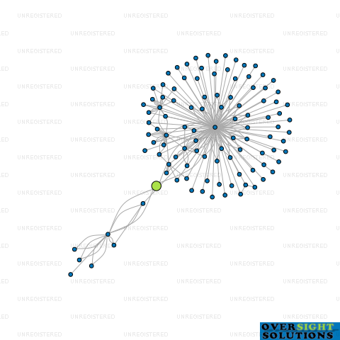 Network diagram for WISE TRUSTEES LTD