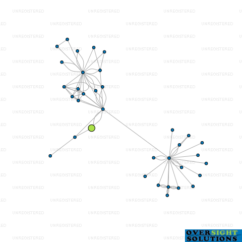 Network diagram for SHAGGY RANGE LTD