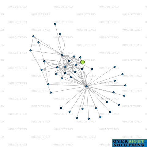 Network diagram for 39 CHURCH ST INVESTMENTS LTD