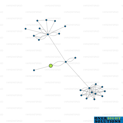 Network diagram for 22 HULL ROAD LTD