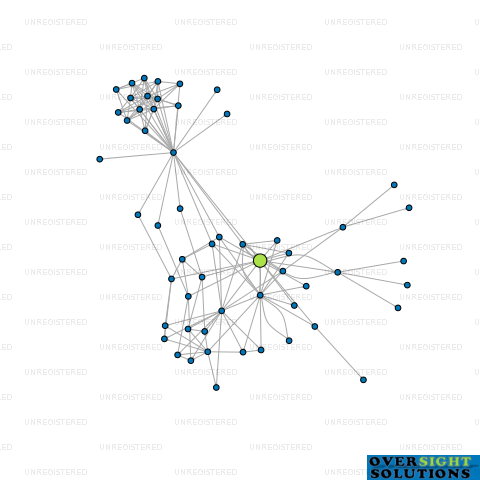 Network diagram for SHUNDI GROUP INVESTMENT LTD