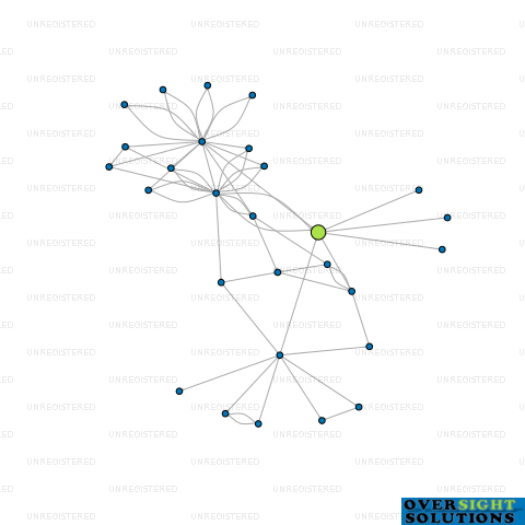 Network diagram for TRINIDAD NZ HOLDINGS LTD