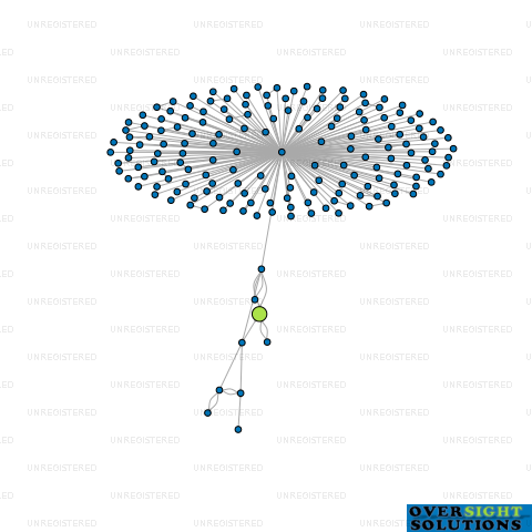 Network diagram for JMG INVESTMENT LTD