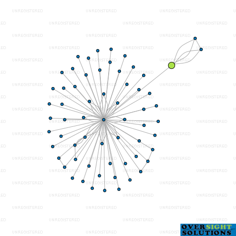 Network diagram for HEXXS LTD