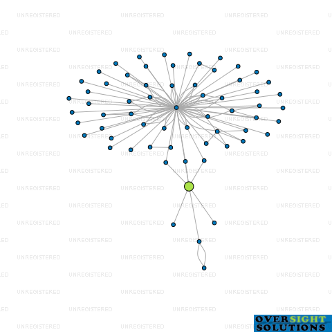 Network diagram for TRIDENT TRUST COMPANY NZ LTD