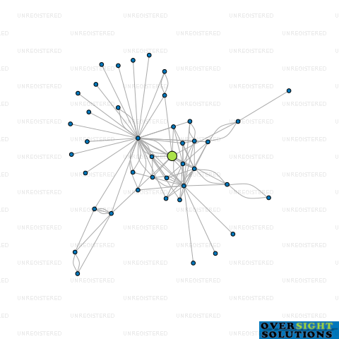 Network diagram for HG INDEPENDENT TRUSTEES LTD