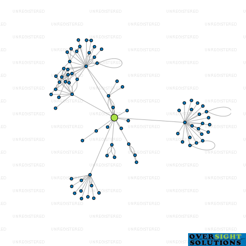 Network diagram for PARIS GEORGIA INTERNATIONAL LTD