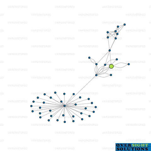 Network diagram for PRECISION ELECTRIC LTD