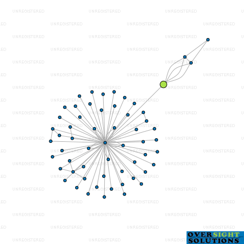 Network diagram for WALKABLE FRIENDS LTD