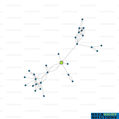 Network diagram for WINTER STREET INVESTMENTS LTD