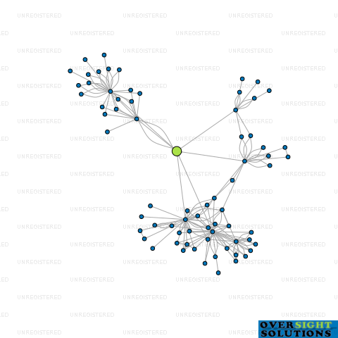Network diagram for 131 BRIDGE LTD