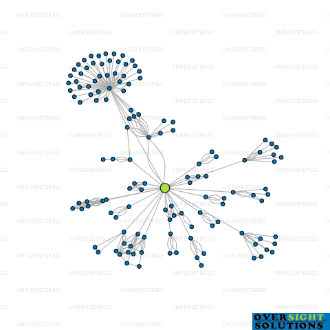 Network diagram for TREISHT SERVICES 2021 LTD