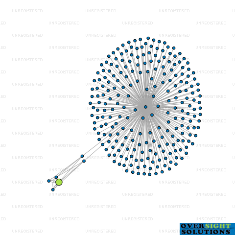 Network diagram for WILSON PROGRESSIVE LTD