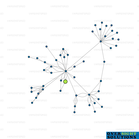 Network diagram for SHAHPUR LTD
