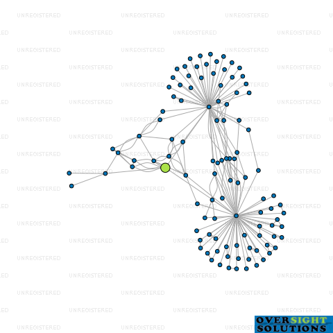 Network diagram for LAGER INVESTMENTS LTD