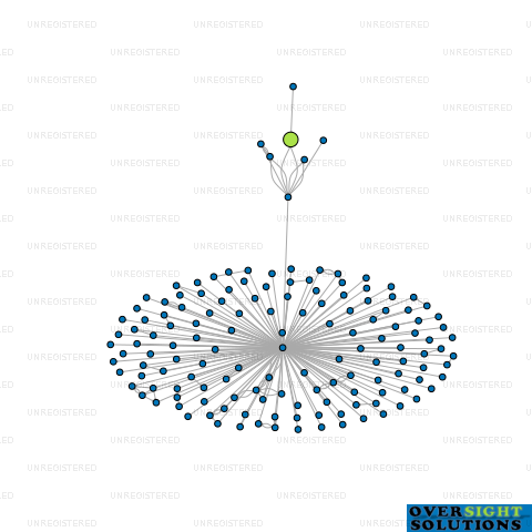 Network diagram for BRADLEY TREE WORKS LTD