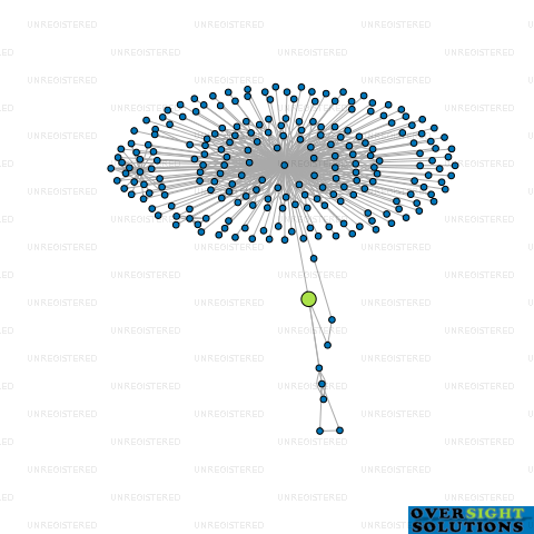 Network diagram for NASH LN TRUSTEE LTD