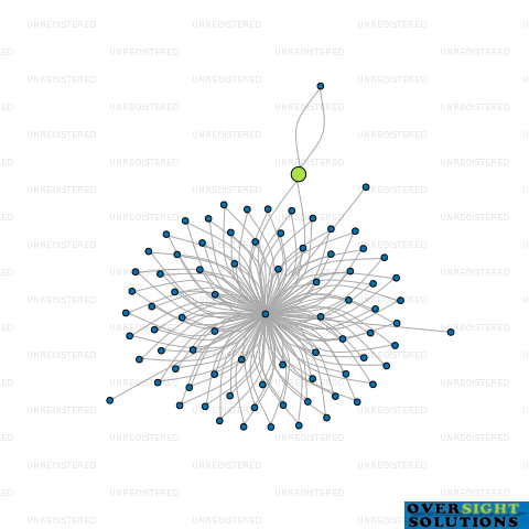 Network diagram for TRUSTEE SERVICE NO 80 LTD