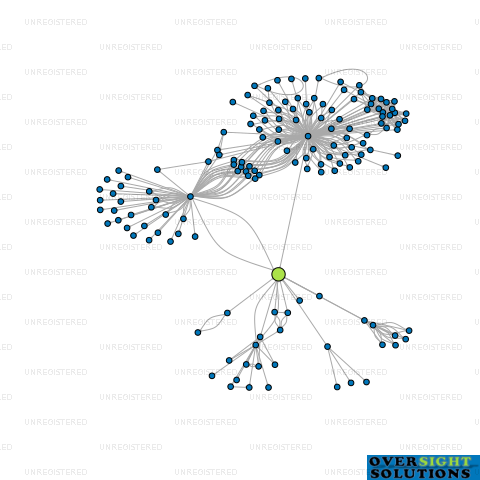 Network diagram for 300 COLOMBO STREET LTD