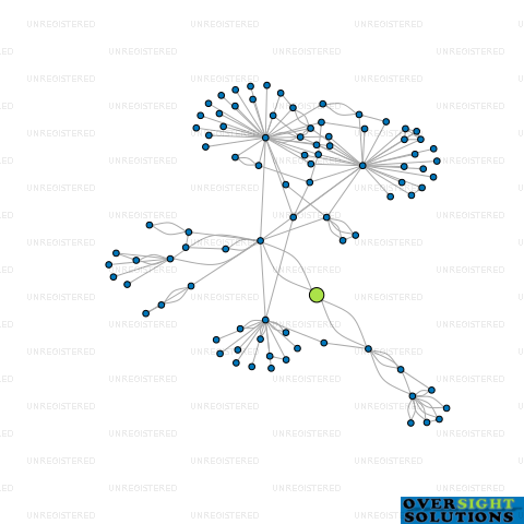 Network diagram for HIKUWAI INVESTMENTS LTD