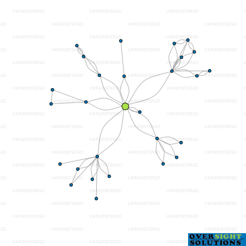 Network diagram for SILVERBACK SURFERS 2012 LTD