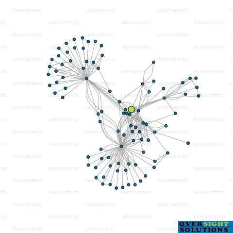 Network diagram for WYBORN CAPITAL KHPL LTD
