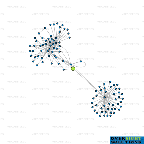Network diagram for MORA LTD