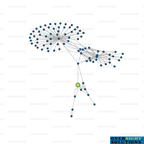 Network diagram for MORIAH HOLDINGS LTD