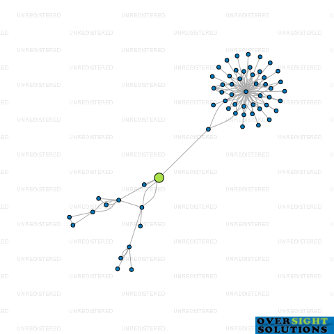 Network diagram for CONTINUOUS SPOUTING AUCKLAND LTD