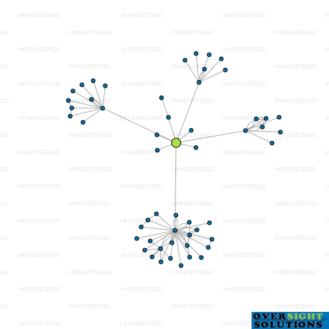 Network diagram for TRUST INVESTMENTS MANAGEMENT LTD