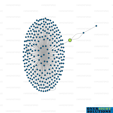 Network diagram for PFS HOLDINGS LTD