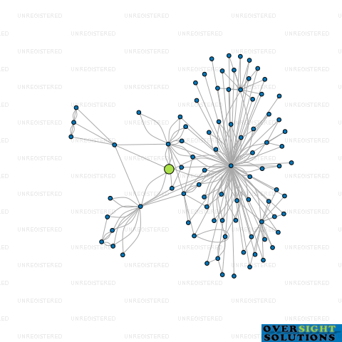 Network diagram for WILSON PROJECTS LTD