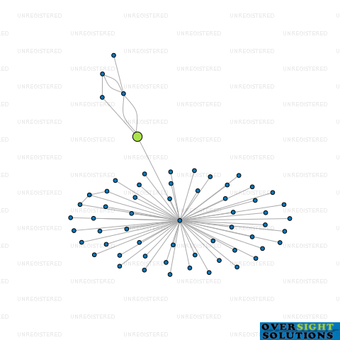 Network diagram for BHC LTD