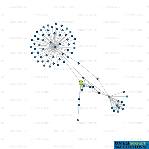 Network diagram for COMPANY 6 LTD