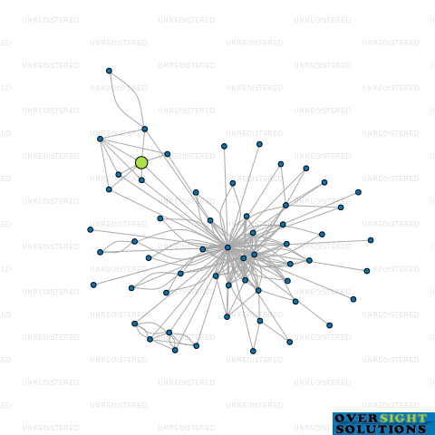 Network diagram for LPS NEW ZEALAND LTD