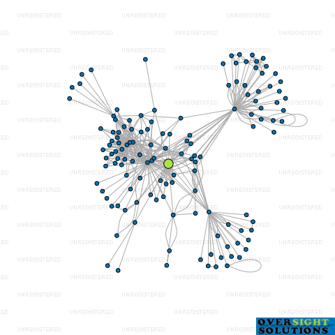 Network diagram for WATTS GROUP INVESTMENTS LTD