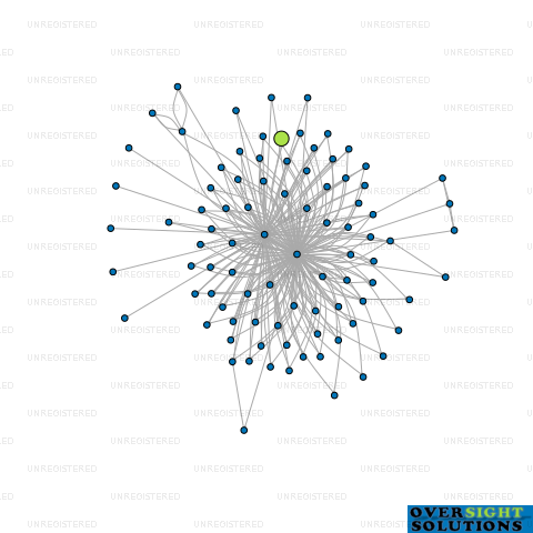 Network diagram for 22 PALM GROVE LTD