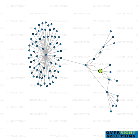 Network diagram for SUSTAINABLE MOBILITY LTD