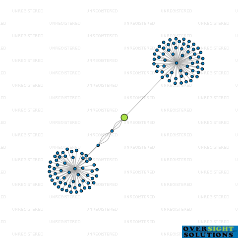 Network diagram for WINEPRESS INVESTMENTS LTD