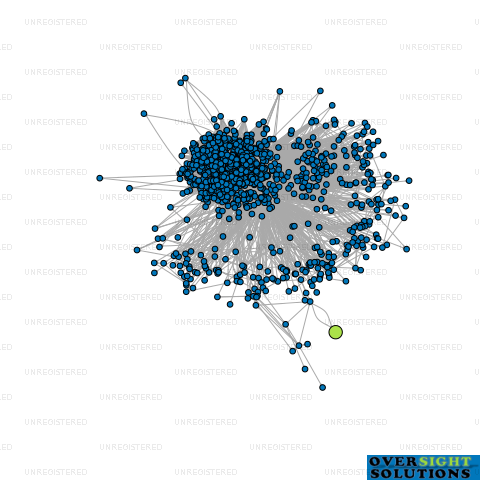 Network diagram for RS GORAYA LTD
