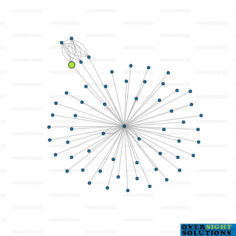 Network diagram for COMMERCE STREET INVESTMENTS LTD