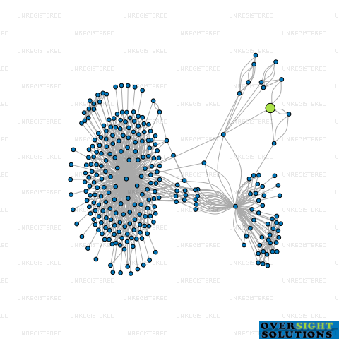 Network diagram for SHERSON WILLIS LTD