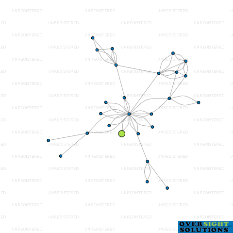 Network diagram for 163 HIGH STREET LTD
