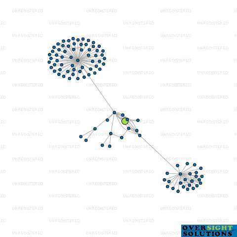 Network diagram for SHADE ELEMENTS LTD