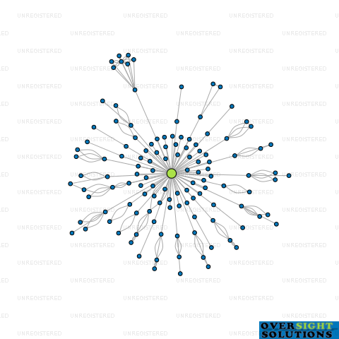 Network diagram for TRUESTOCK LTD