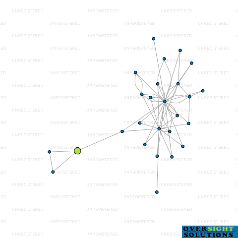 Network diagram for BABY CITY RETAIL INVESTMENTS LTD