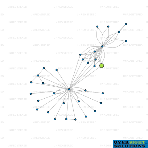 Network diagram for CONDELL AVENUE LTD