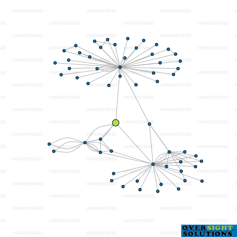 Network diagram for WINDSOR BLUE LTD